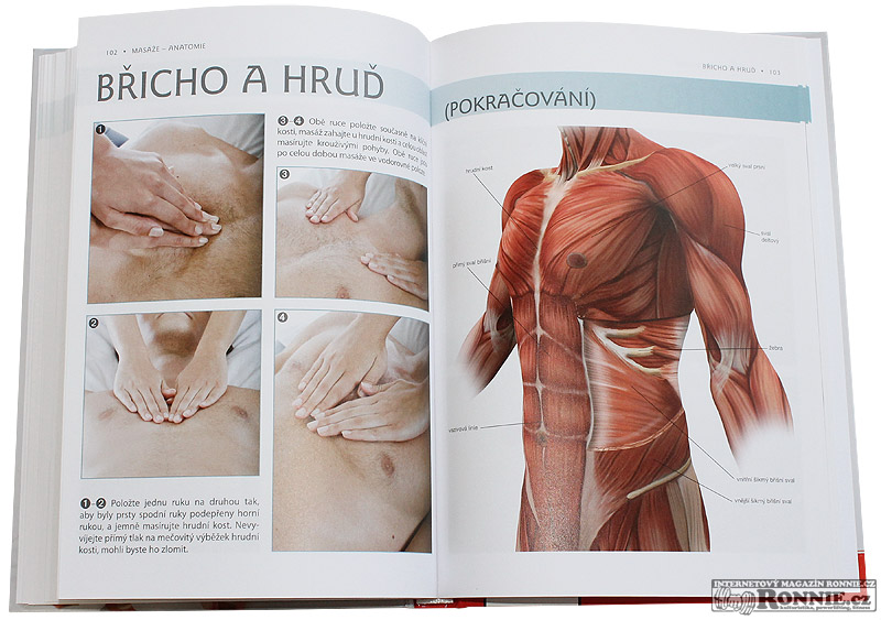 Mas�e - anatomie (Abby Ellsworth, Peggy Altman)