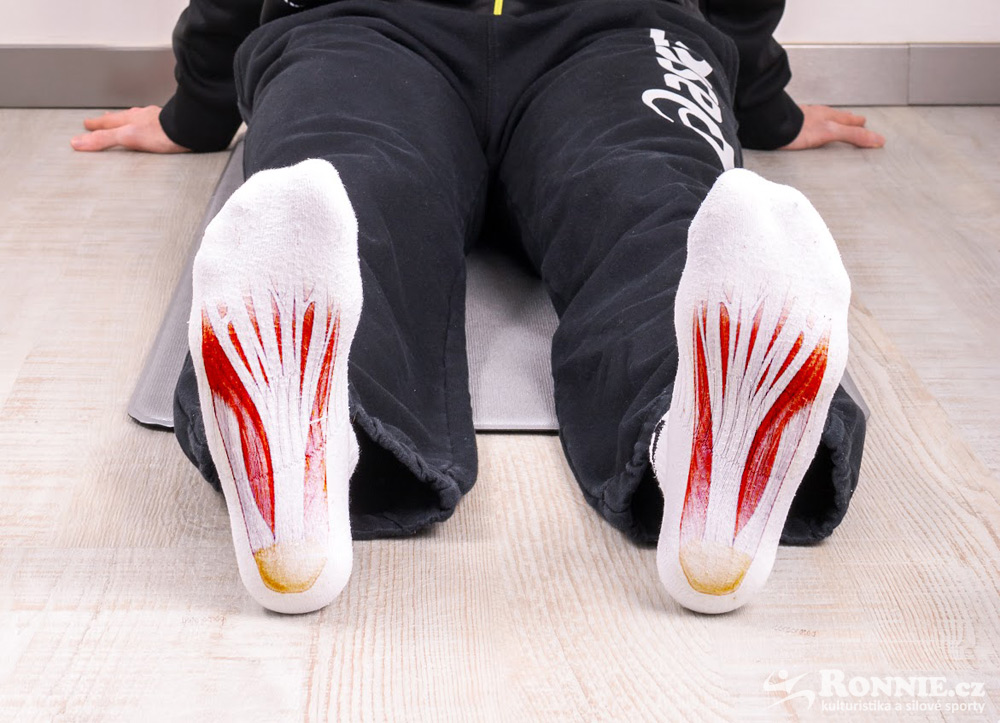 Plant�rn� fascie