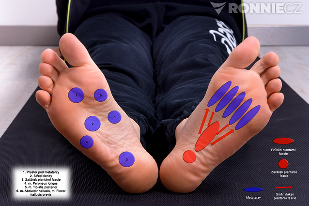 Lidská noha jako základ bezbolestného pohybu a zdraví