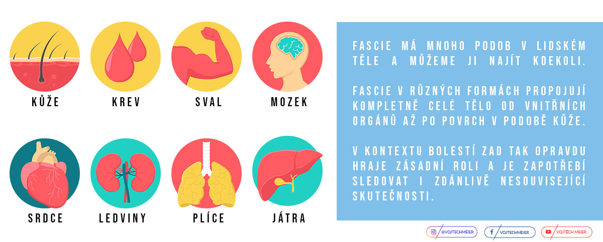 "Podoby" fasci�