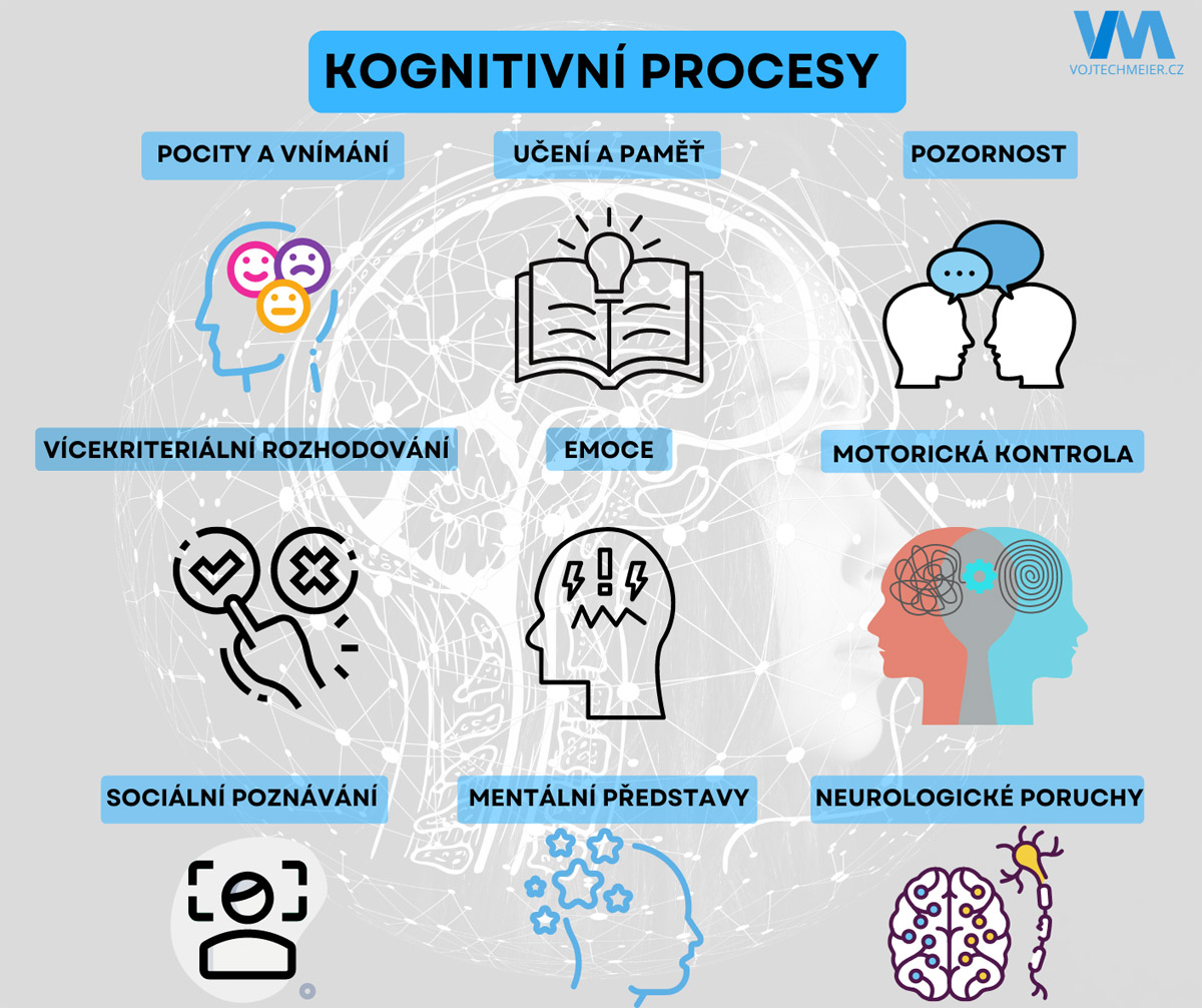 Kognitivn� procesy