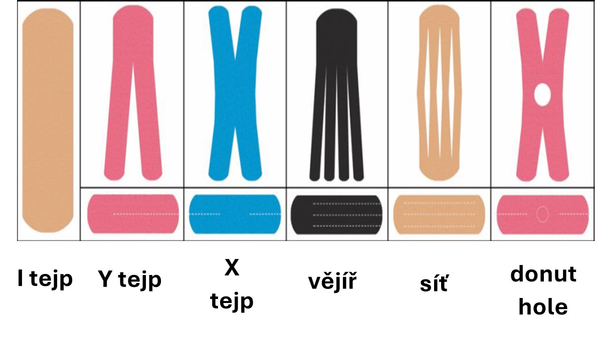 Tvary tejpu